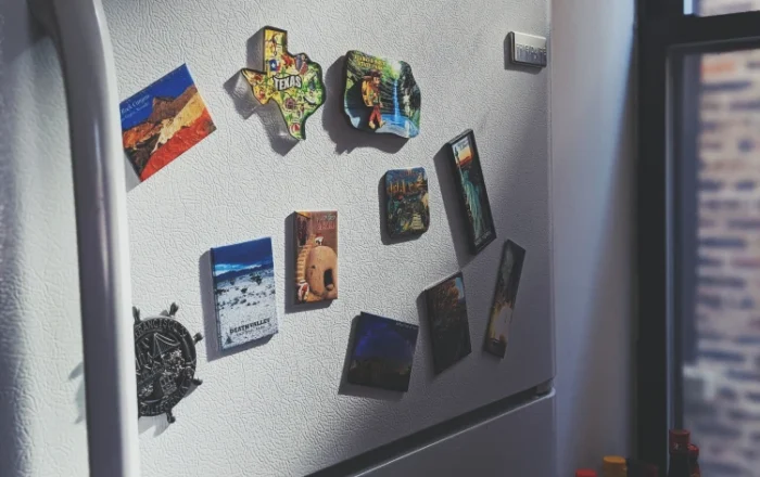 refrigerator with texas magnet
