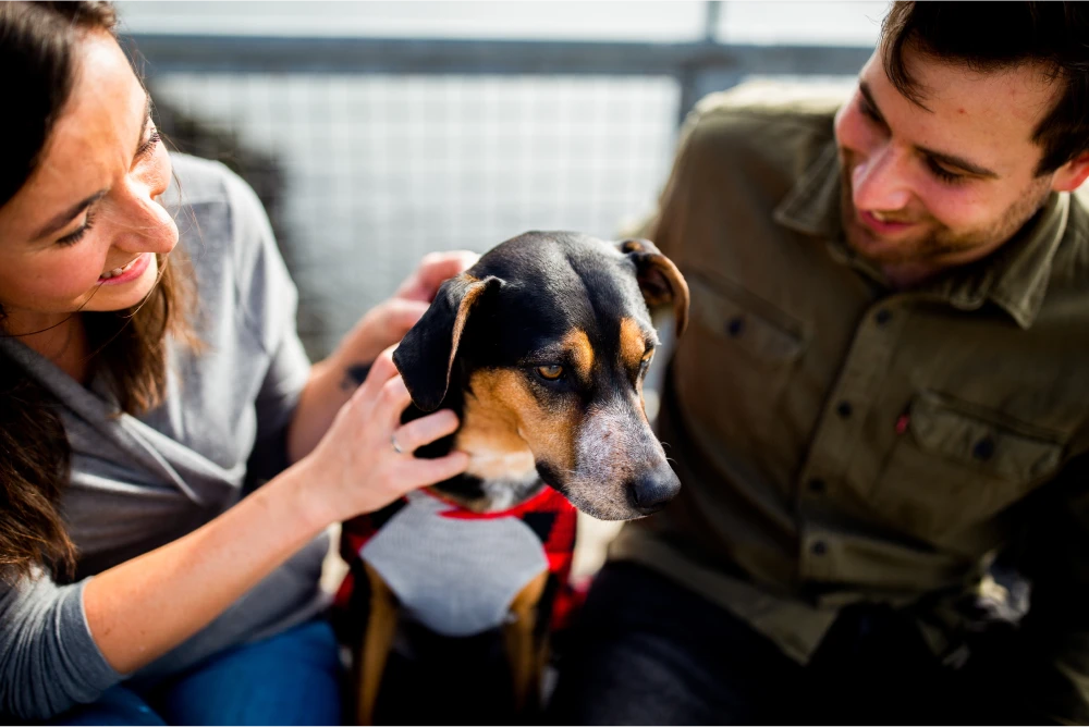 man and woman petting a dog