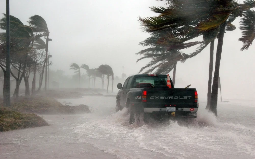 hurricane damage