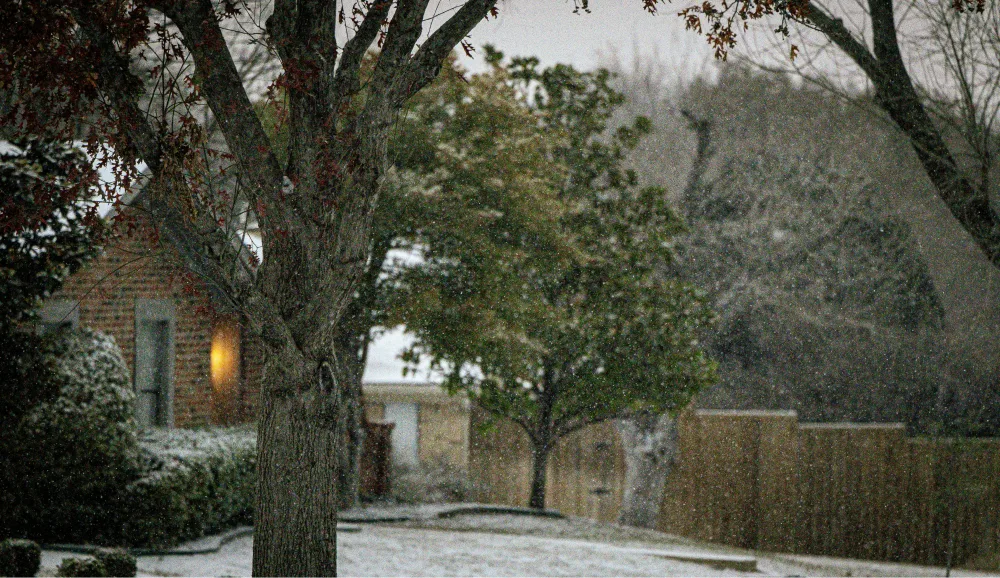 Coldfront Expected to Bring Widespread Freeze to Texas January 6, 2025