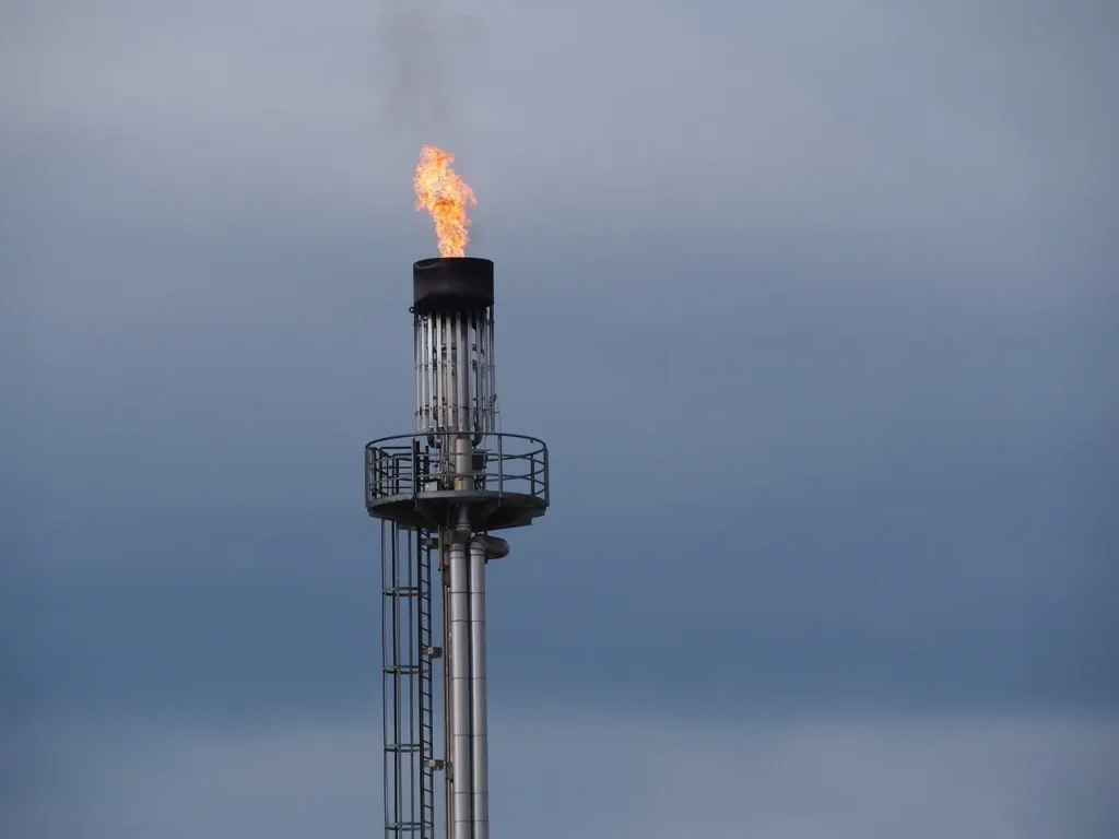 natural gas plant