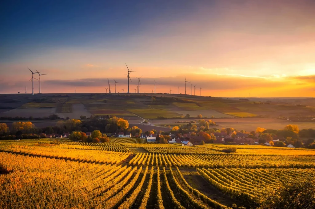 wind energy farm