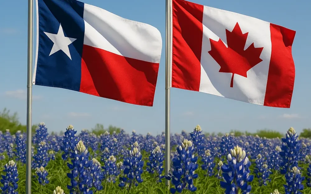 Texas flag and Canadian flag in front of a field of bluebonnets