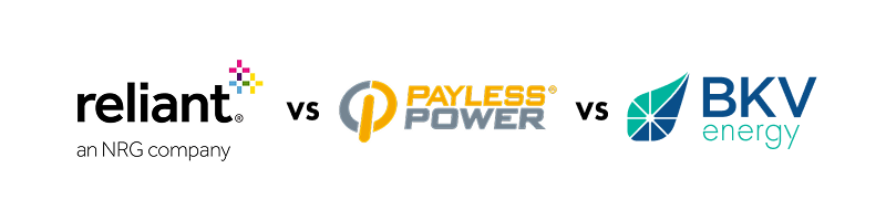 reliant energy vs payless power vs bkv energy