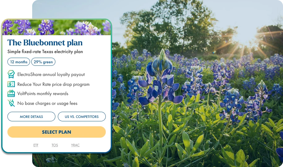 the bluebonnet plan is simple fixed rate electricity