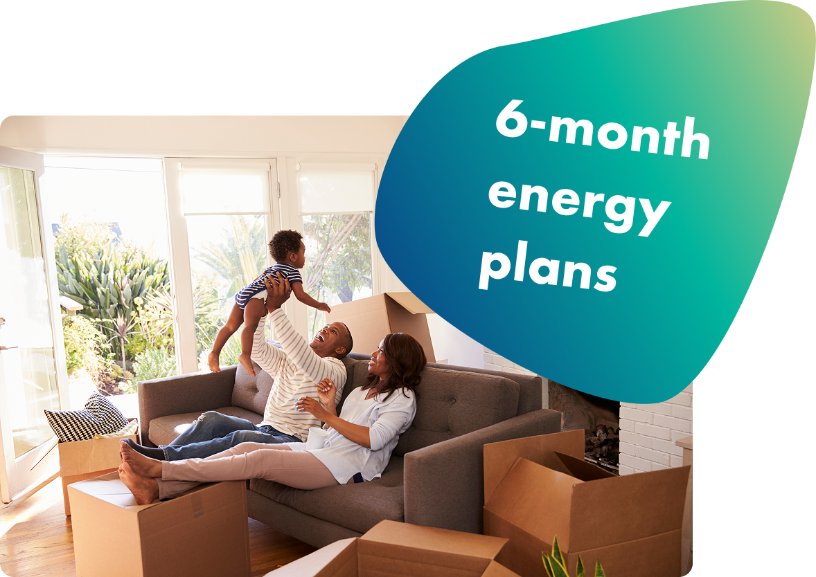 6-month electricity plans