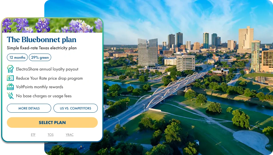fort worth electricity provider