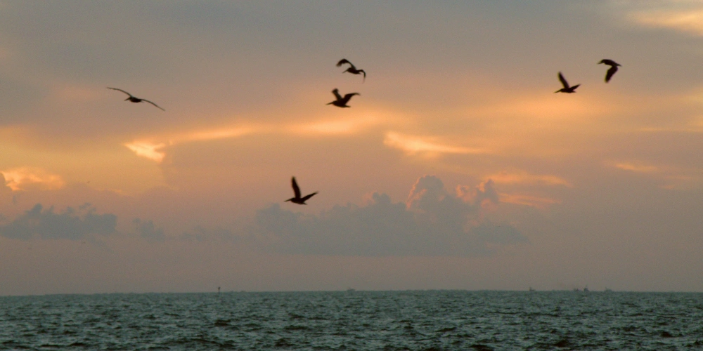 port aransas, texas