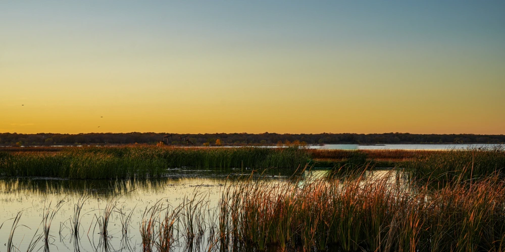 hagerman wildlife refuge in sherman texas