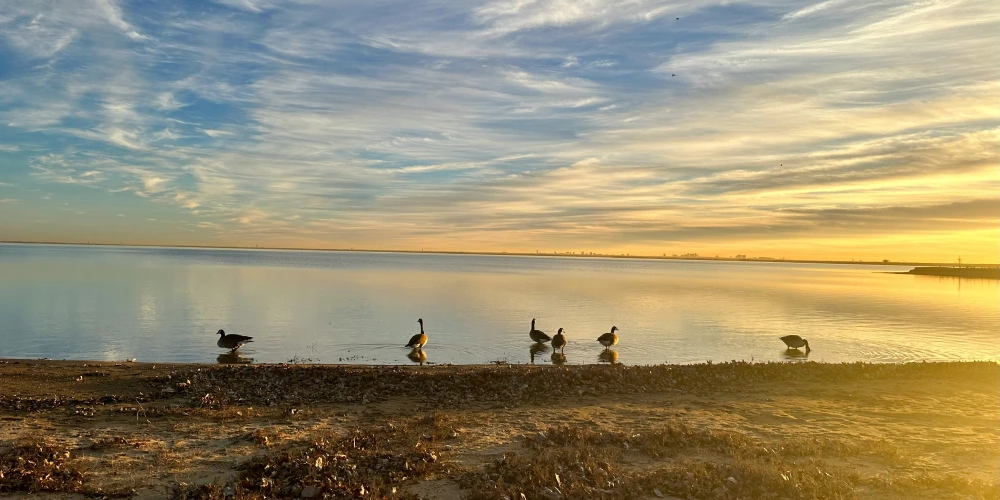 lewisville texas